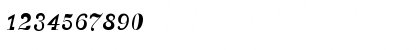 CanadianPhotographer Script Font CanadianPhotographer Script Font