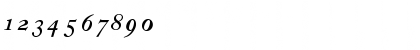 CaslonBoldZH-Italic Regular Font CaslonBoldZH-Italic Regular Font