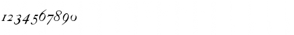 CaslonBookItalicWF Regular Font CaslonBookItalicWF Regular Font