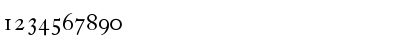 CaslonC37 LightAlternates Font CaslonC37 LightAlternates Font