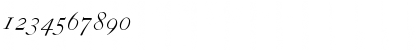 CaslonZH-SC-Italic Regular Font CaslonZH-SC-Italic Regular Font