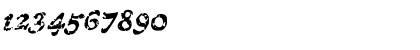 CCTreasureTroveDecayed Italic Font CCTreasureTroveDecayed Italic Font