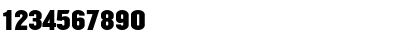 Champion HTF-Middleweight Font Champion HTF-Middleweight Font