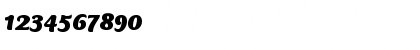 Mercurius CT Std Black Italic Font Mercurius CT Std Black Italic Font