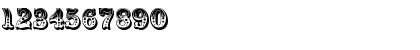 Dolphin Regular Font