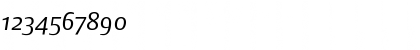 DTL Argo ST Light Italic Font DTL Argo ST Light Italic Font