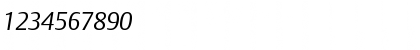DTLArgoT LightItalic Font DTLArgoT LightItalic Font