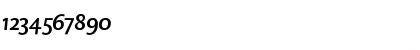DTL Caspari ST Medium Italic Font DTL Caspari ST Medium Italic Font
