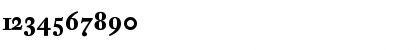 DTL Fleischmann ST Bold Font DTL Fleischmann ST Bold Font