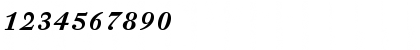 DTL Fleischmann D Bold Italic Font DTL Fleischmann D Bold Italic Font