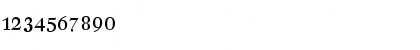 DTLFleischmannD Caps Font DTLFleischmannD Caps Font