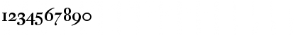 DTL Fleischmann Display Medium Font DTL Fleischmann Display Medium Font