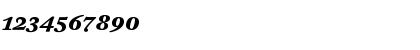 DTL Fleischmann T Caps Bold Italic Font DTL Fleischmann T Caps Bold Italic Font