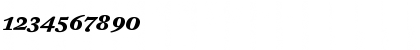 DTLFleischmannT CapsBoldItalic Font DTLFleischmannT CapsBoldItalic Font