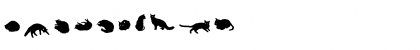 Gattofont Regular Font