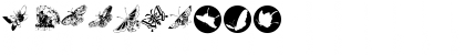 ButterFly Regular Font ButterFly Regular Font