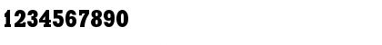 UkrainianXeniaCondensed Regular Font UkrainianXeniaCondensed Regular Font