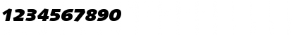 LinotypeSyntax BlackItalic Font