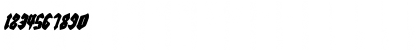 Bierg䲴en Condensed Italic Condensed Italic Font