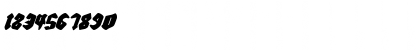 Bierg䲴en Italic Italic Font Bierg䲴en Italic Italic Font