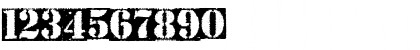 Carton Regular Font Carton Regular Font