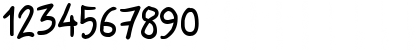 NikoFont Regular Font NikoFont Regular Font