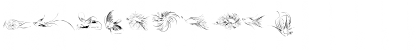 Penmanship Birds Free Regular Font Penmanship Birds Free Regular Font