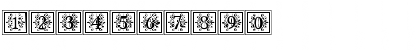 Apex Lake Regular Font Apex Lake Regular Font
