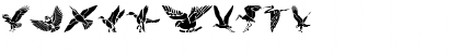 HFF Bird Stencil Regular Font