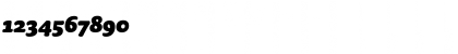Sauna-BlackItalicSwash Regular Font