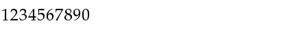 TeX Gyre Pagella Regular Font TeX Gyre Pagella Regular Font