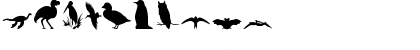 Critter Dingbats Regular Font Critter Dingbats Regular Font