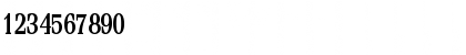 Feline-Condensed Bold Font Feline-Condensed Bold Font