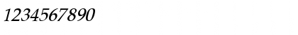 Palomar-Italic Normal Font Palomar-Italic Normal Font