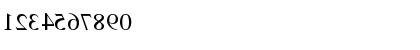 Rotini Reverse Regular Font Rotini Reverse Regular Font