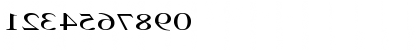 RSTimesMirror Ex Regular Font RSTimesMirror Ex Regular Font