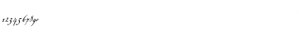 Voluta Script R駵lar Regular Font