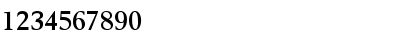 VolvoSerif Bold Font VolvoSerif Bold Font