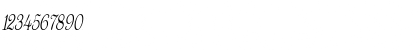 WaltersCondensed Italic Font WaltersCondensed Italic Font