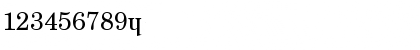 WFon Regular Font