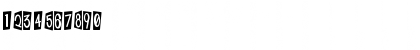 Black Book Regular Font Black Book Regular Font