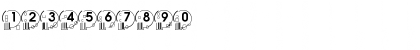 Canvas Regular Font Canvas Regular Font