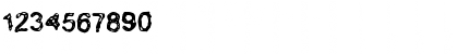 Champ Regular Font