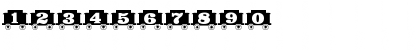 Ooty Express Regular Font