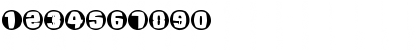 Pool Zone Regular Font Pool Zone Regular Font