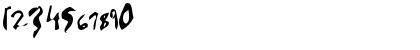 Signature Regular Font Signature Regular Font