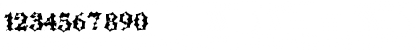 Spring Action Regular Font Spring Action Regular Font