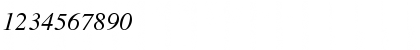 NimbusRomNo9L Italic Font