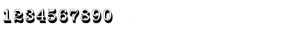 ClarendonTLigSh1 Regular Font ClarendonTLigSh1 Regular Font