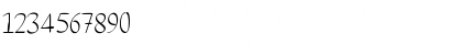 Calligraphy Regular Font Calligraphy Regular Font